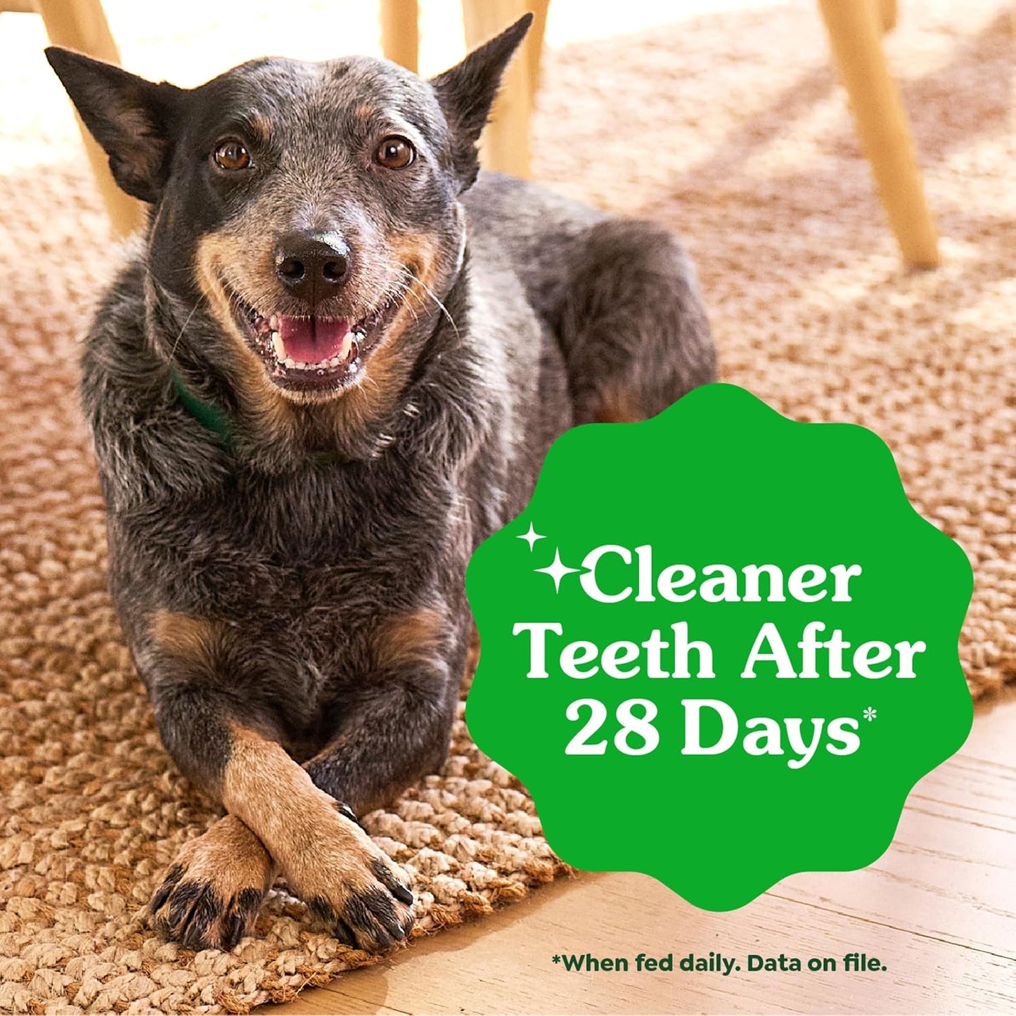 Veterinarian-Recommended Adult Natural Dental Dog Treats Large Size, Dog Dental Chews, Original Flavor, 54 Oz. Pack, 34 Count