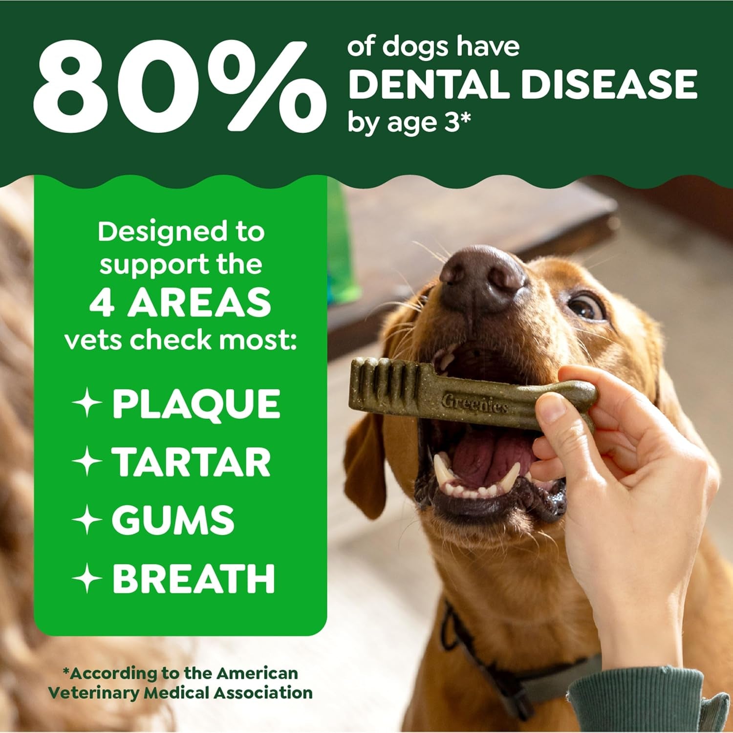 Veterinarian-Recommended Adult Natural Dental Dog Treats Large Size, Dog Dental Chews, Original Flavor, 54 Oz. Pack, 34 Count